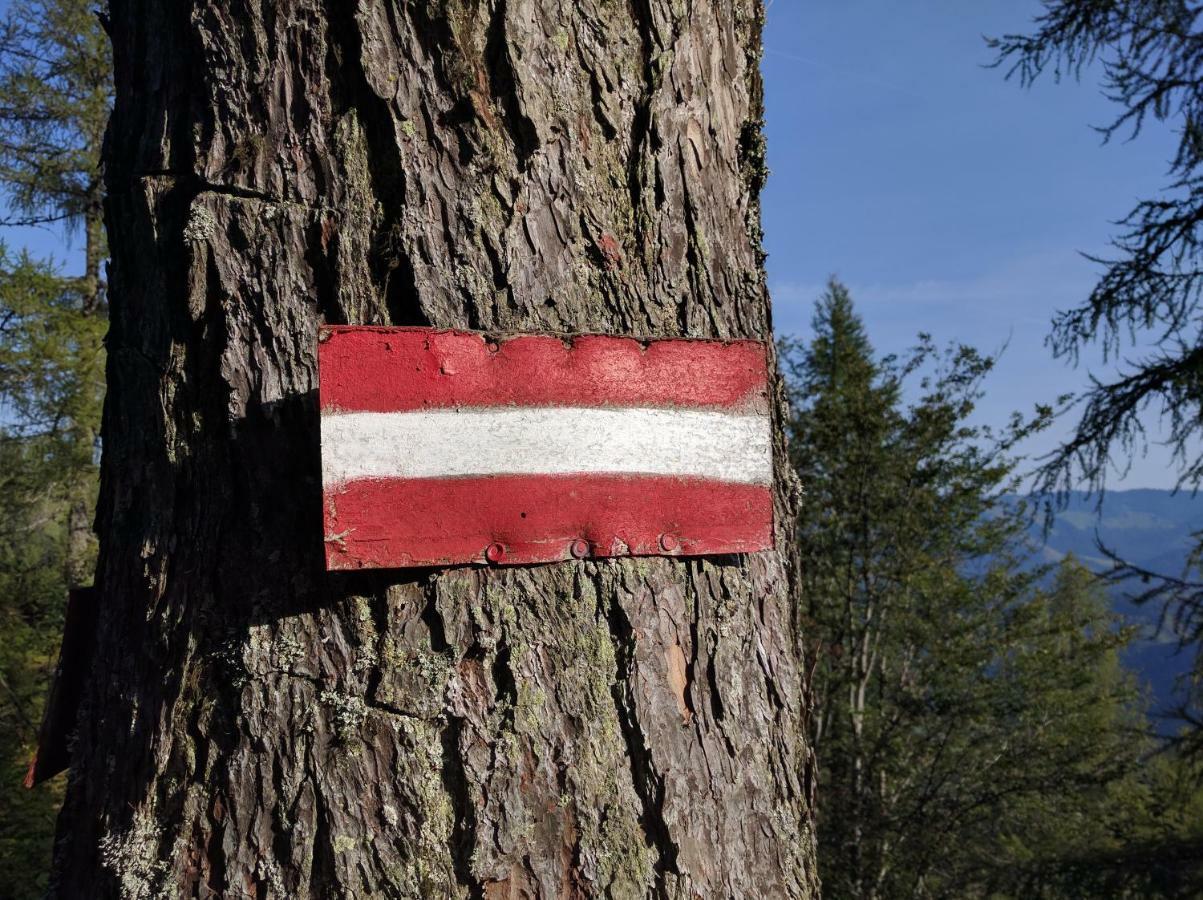 Ferienbungalow Mountain View Wood Spital Am Pyhrn Bagian luar foto