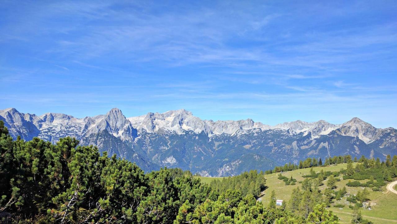 Ferienbungalow Mountain View Wood Spital Am Pyhrn Bagian luar foto
